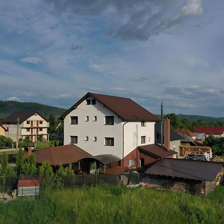 Pensiunea Lacul Albesti Albestii Paminteni ภายนอก รูปภาพ