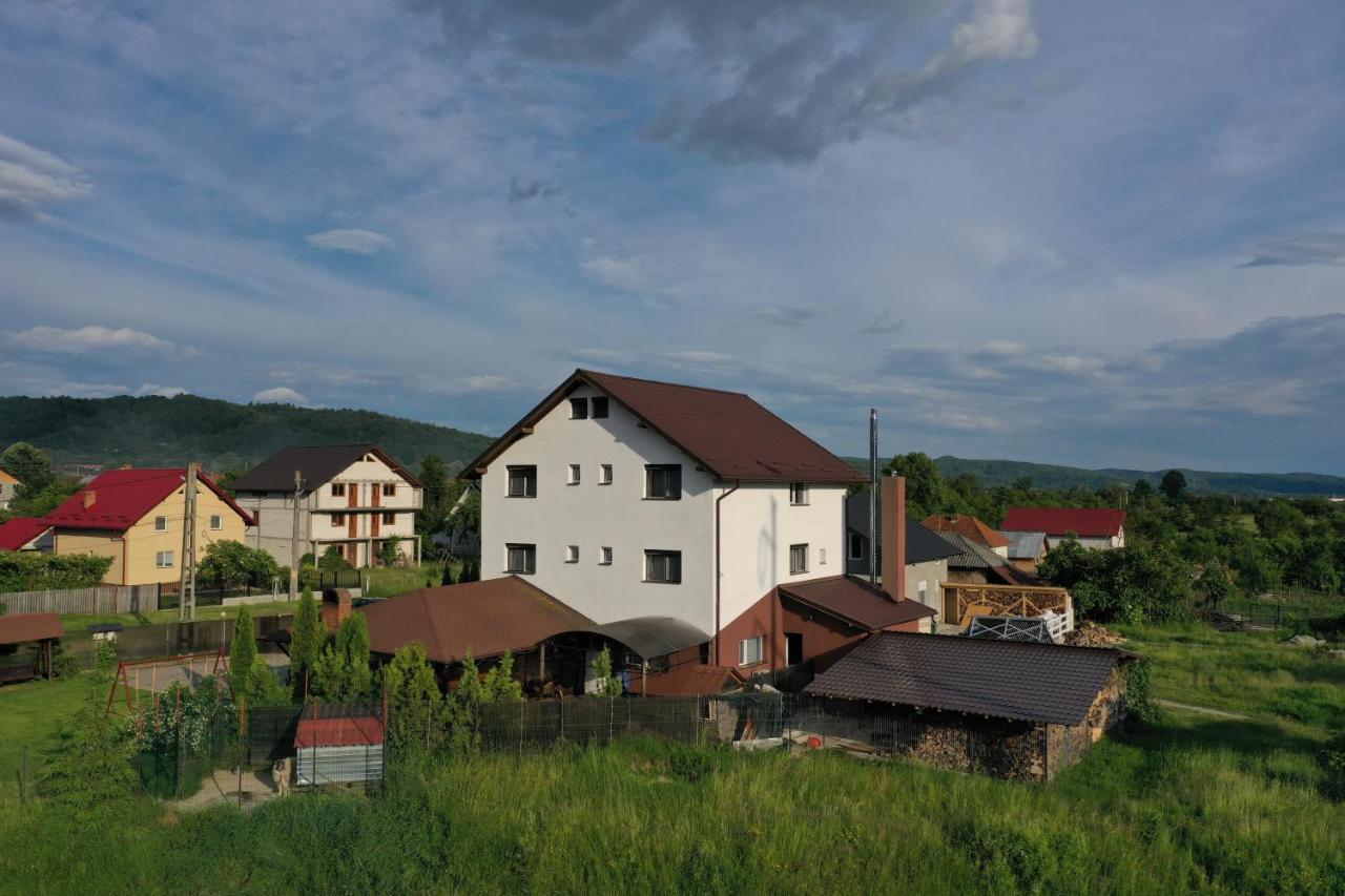 Pensiunea Lacul Albesti Albestii Paminteni ภายนอก รูปภาพ