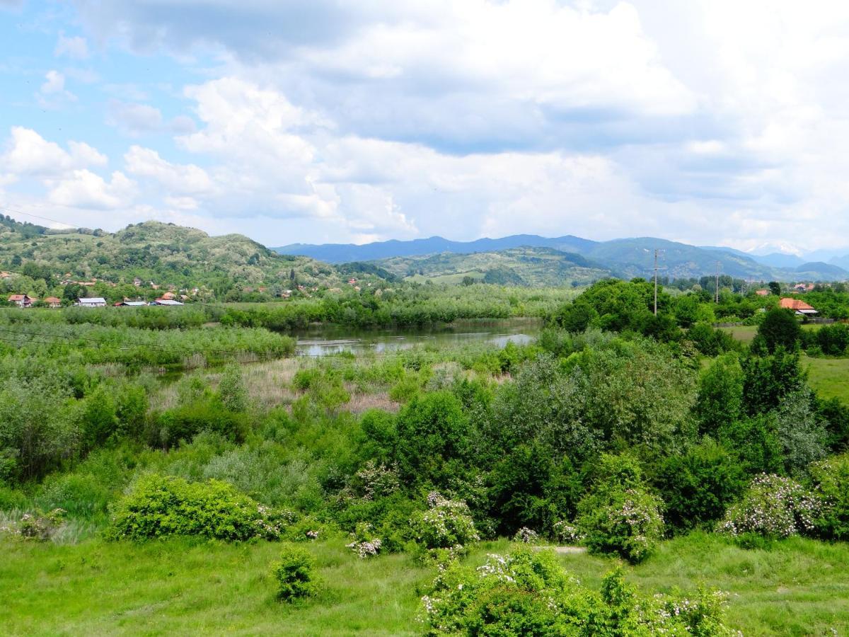 Pensiunea Lacul Albesti Albestii Paminteni ภายนอก รูปภาพ