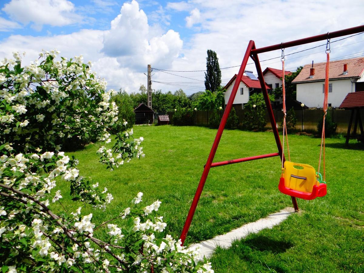 Pensiunea Lacul Albesti Albestii Paminteni ภายนอก รูปภาพ
