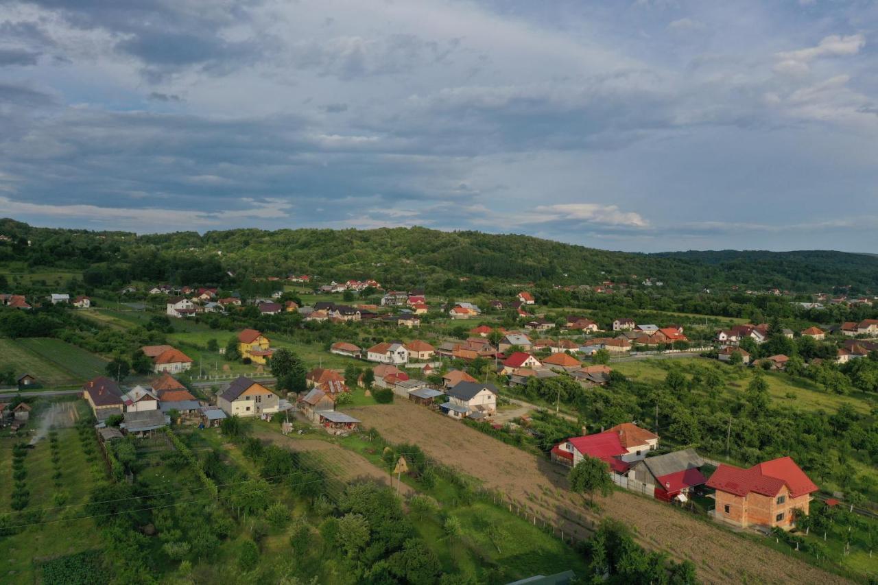Pensiunea Lacul Albesti Albestii Paminteni ภายนอก รูปภาพ