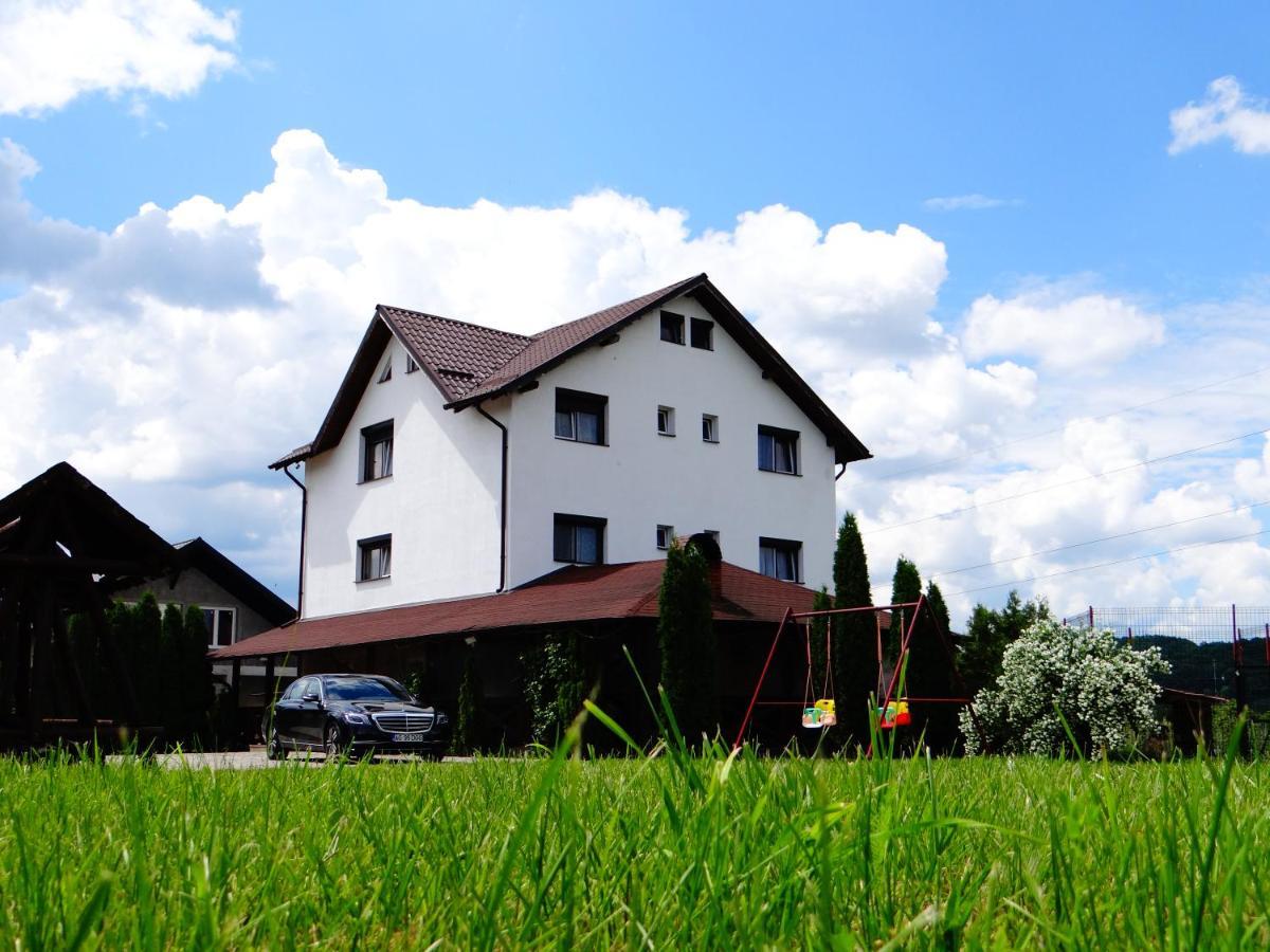 Pensiunea Lacul Albesti Albestii Paminteni ภายนอก รูปภาพ