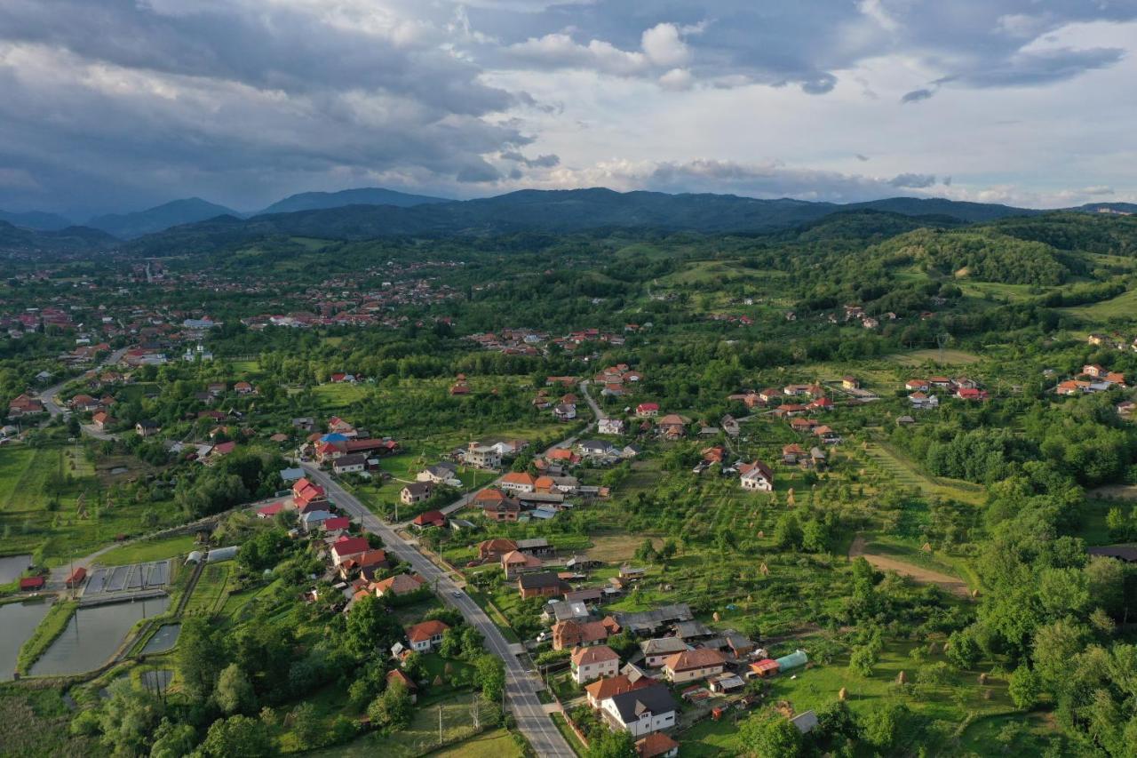 Pensiunea Lacul Albesti Albestii Paminteni ภายนอก รูปภาพ
