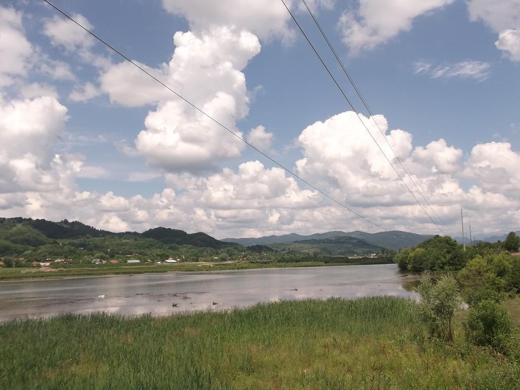 Pensiunea Lacul Albesti Albestii Paminteni ภายนอก รูปภาพ