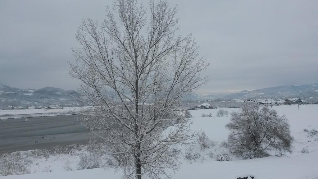 Pensiunea Lacul Albesti Albestii Paminteni ภายนอก รูปภาพ